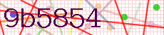 código captcha